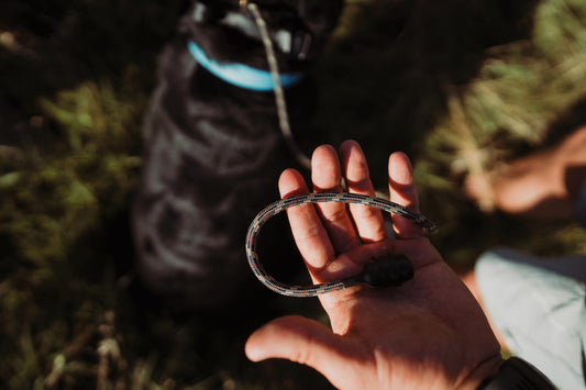 RADER K9 4ft slip lead