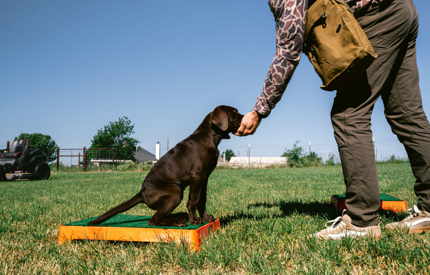 14 Day Puppy Board & Train
