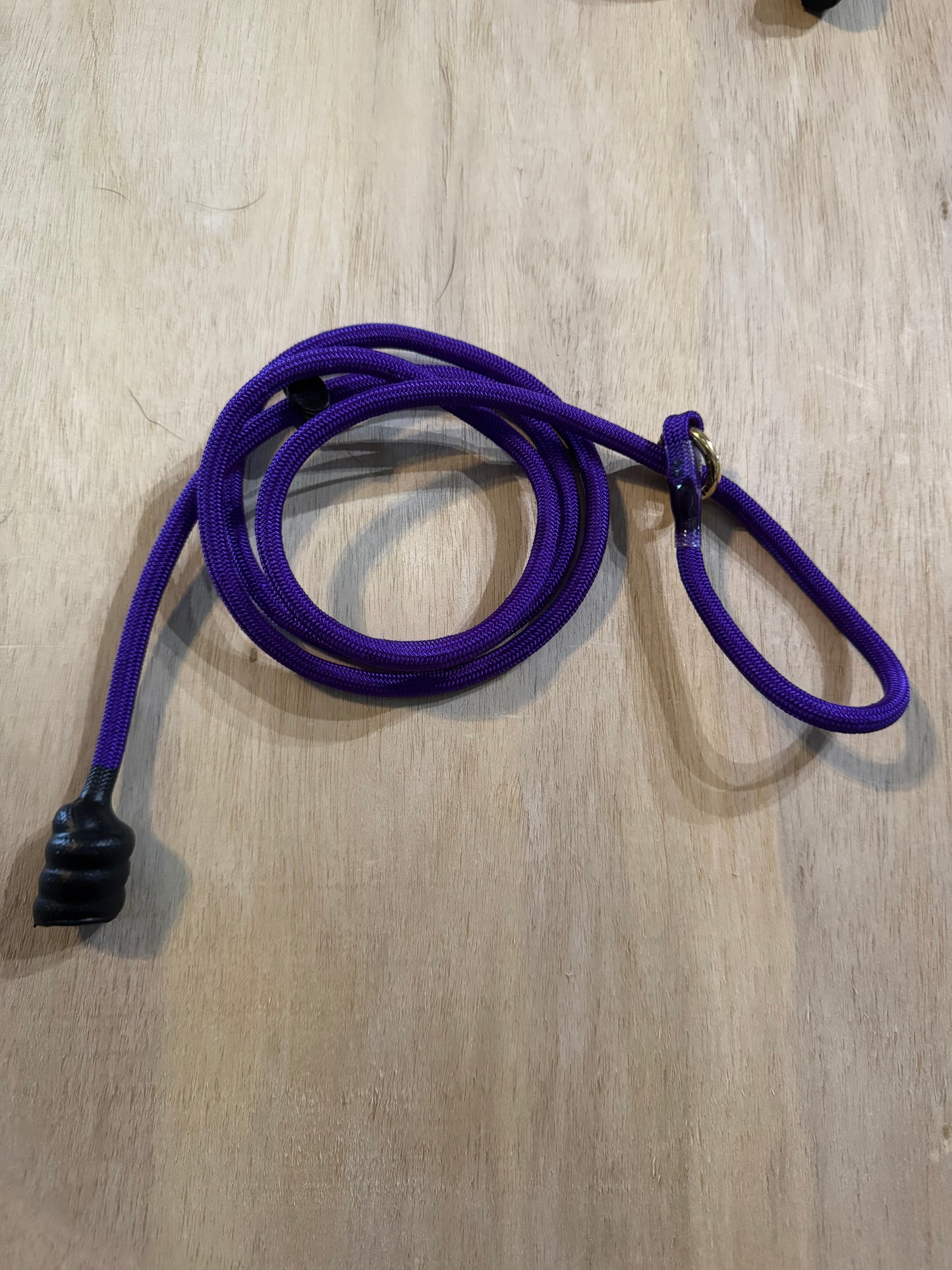 RADER K9 4ft slip lead