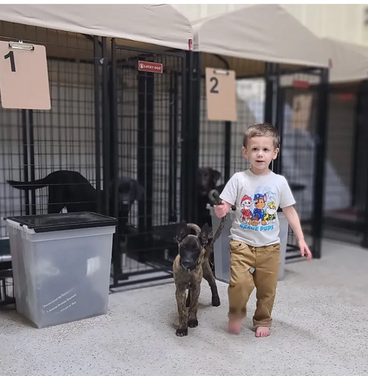 Private Puppy lessons - 45 minute session