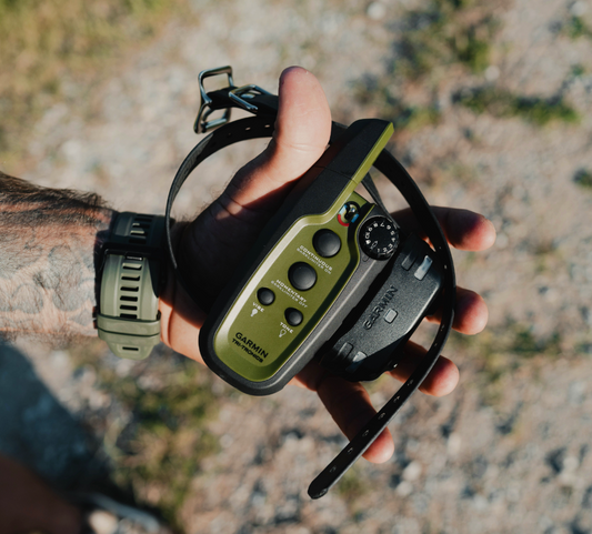Garmin Sport Pro E Collar