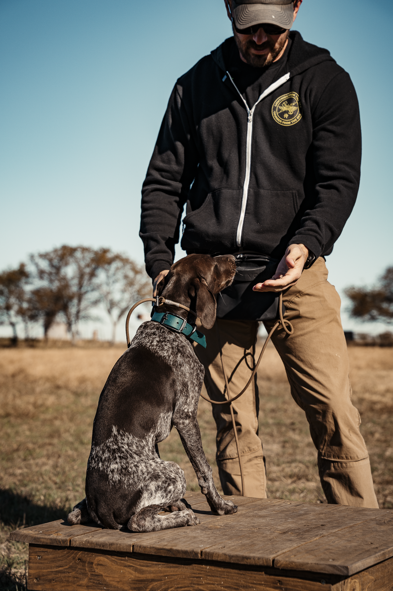 16 Week Hybrid Obedience and Retrieval