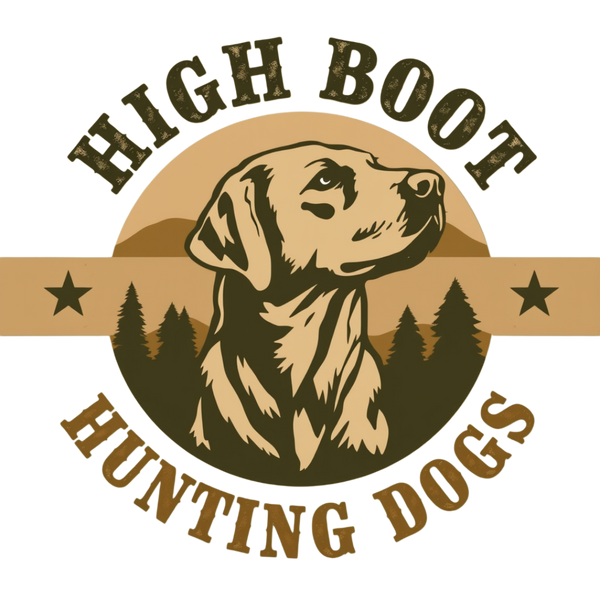 High Boot K9 Training