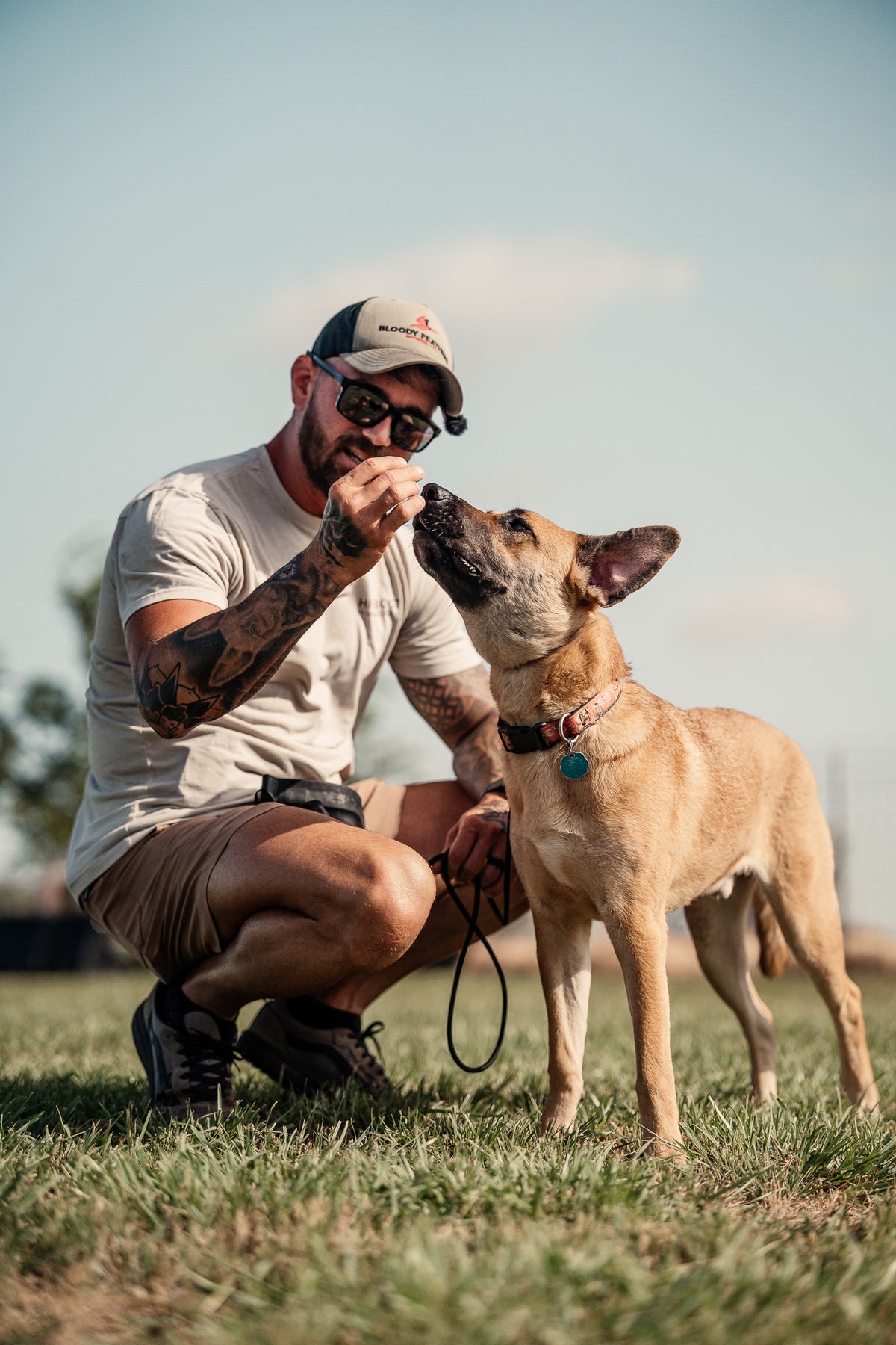Obedience Board & Train - 4 Weeks
