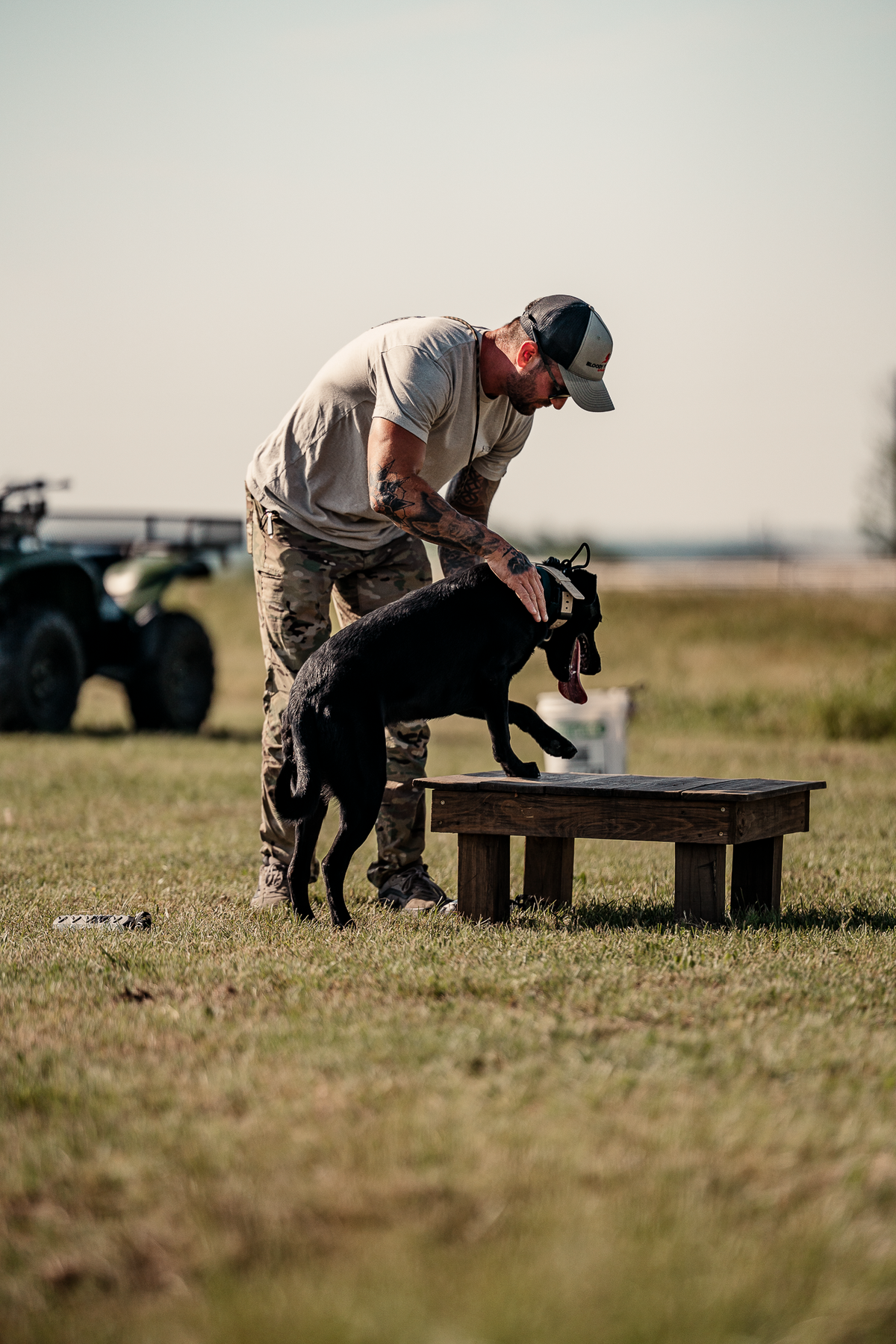 16 Week Hybrid Obedience and Retrieval