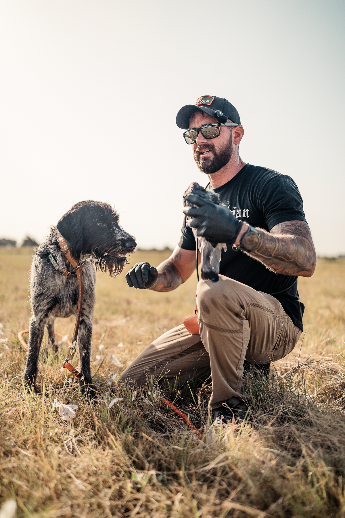 16 Week Hybrid Obedience and Retrieval