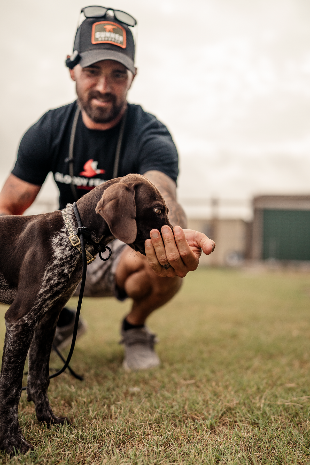 14 Day Puppy Board & Train