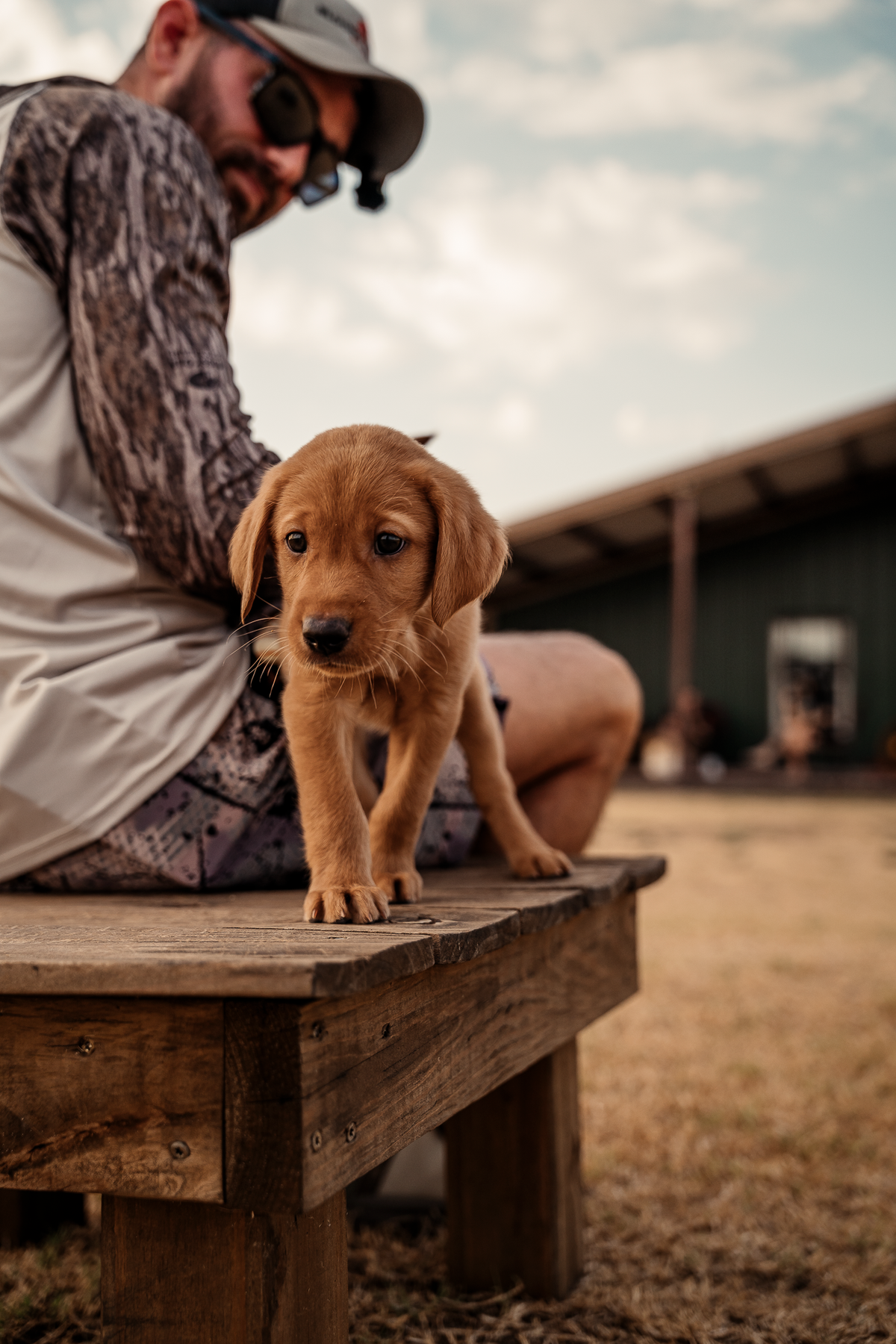 14 Day Puppy Board & Train