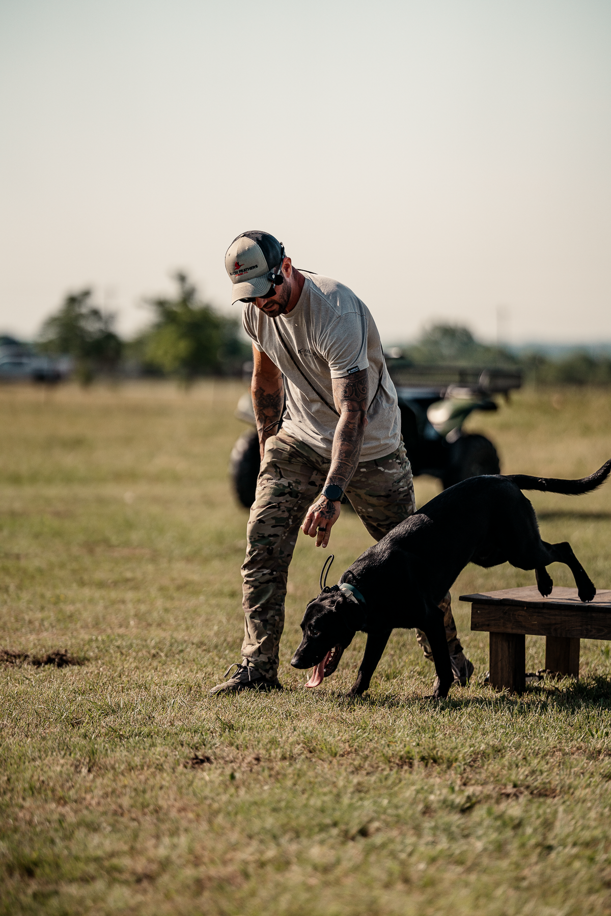 16 Week Hybrid Obedience and Retrieval