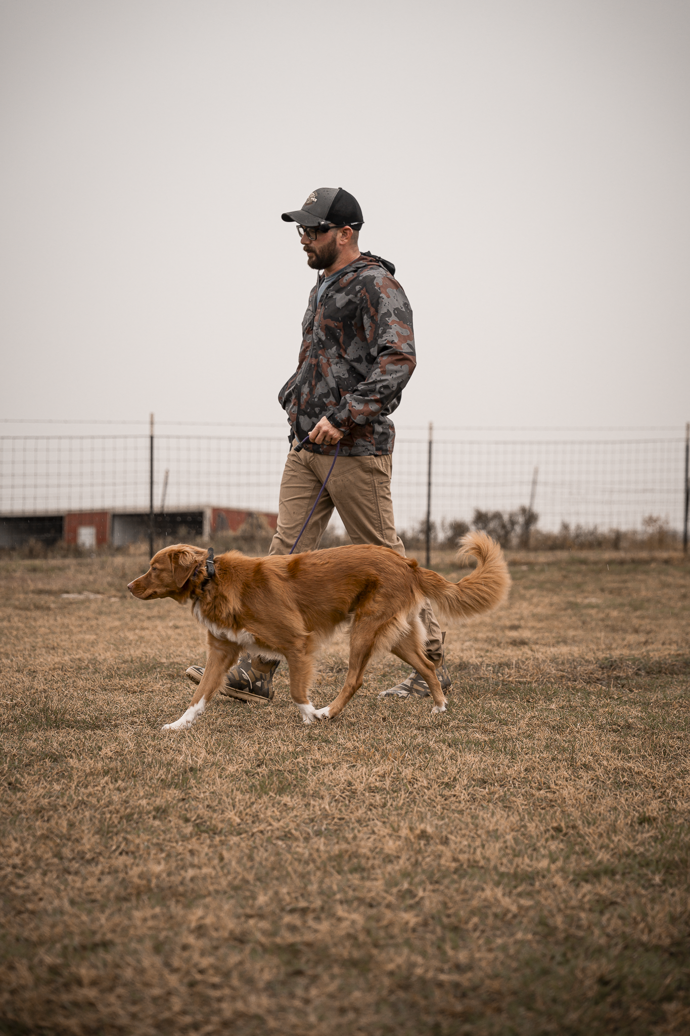 Obedience Board & Train - 3 Weeks