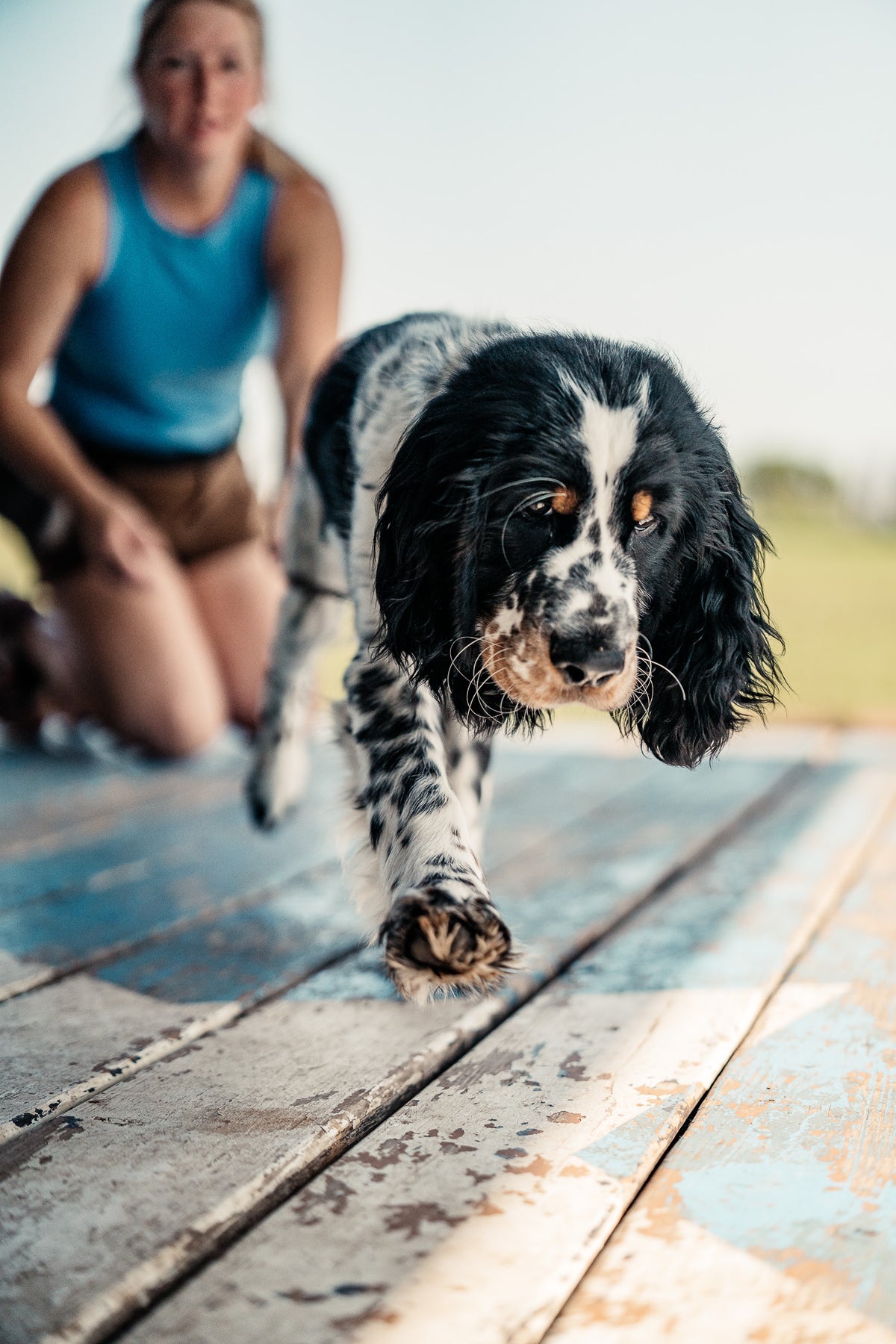 14 Day Puppy Board & Train
