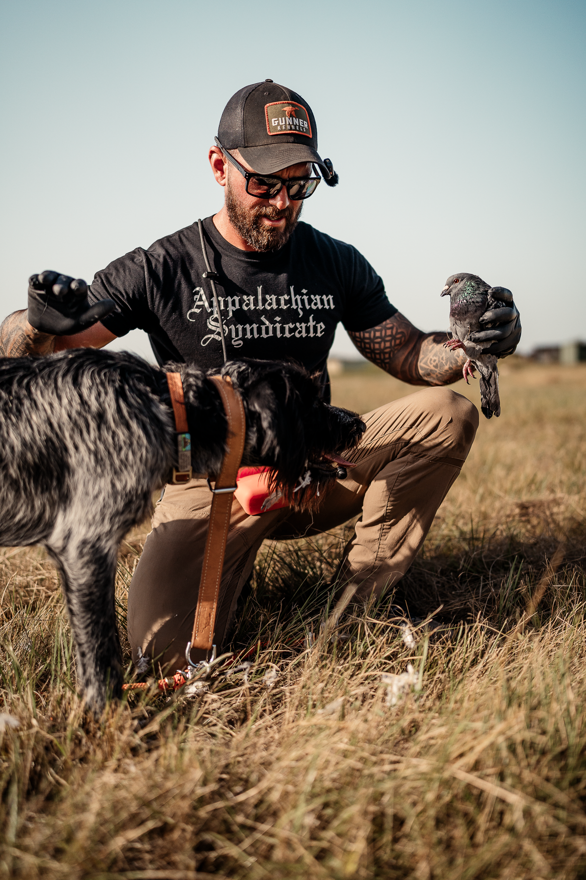 16 Week Hybrid Obedience and Retrieval