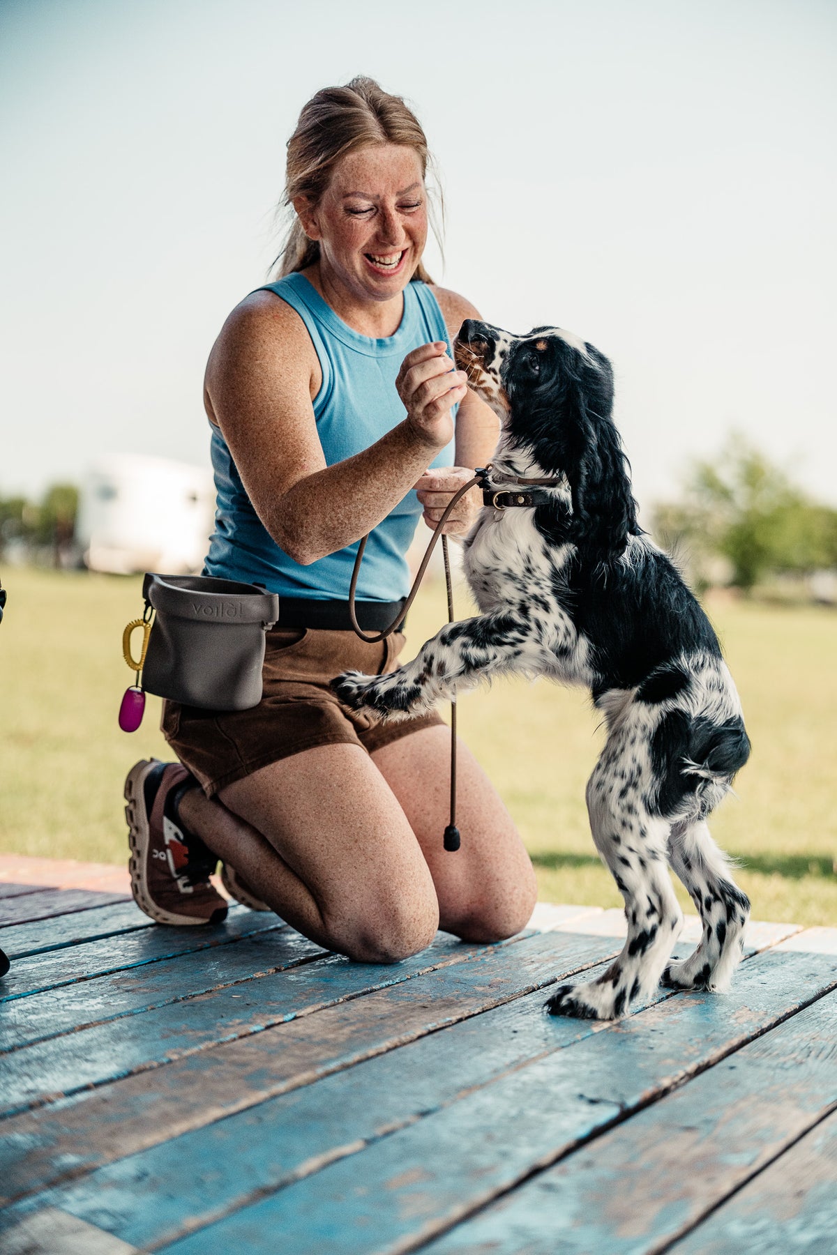 14 Day Puppy Board & Train
