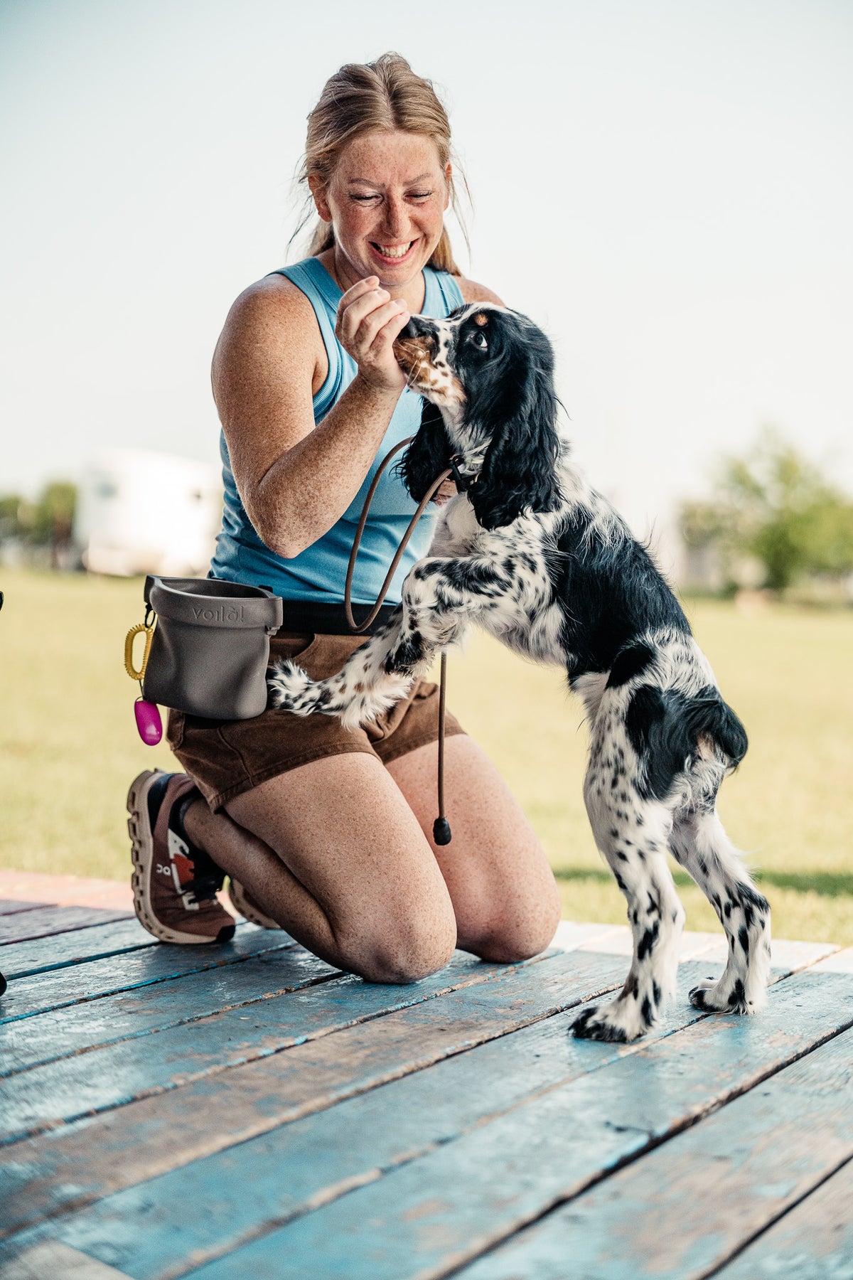14 Day Puppy Board & Train