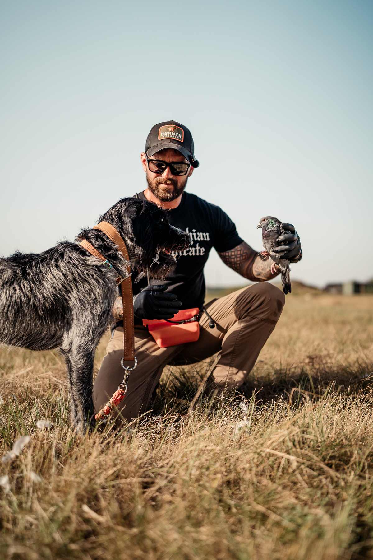 16 Week Hybrid Obedience and Retrieval