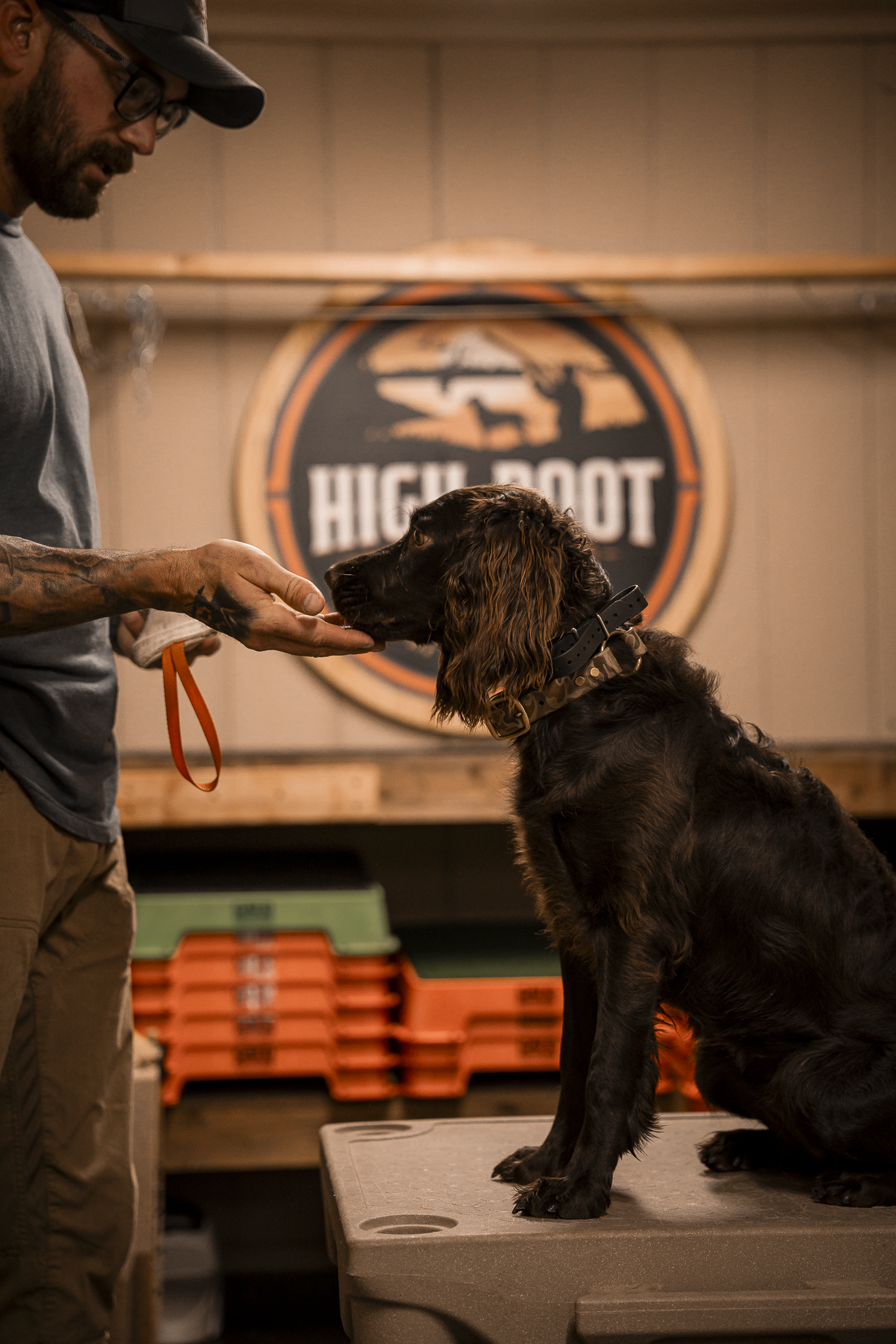 16 Week Hybrid Obedience and Retrieval
