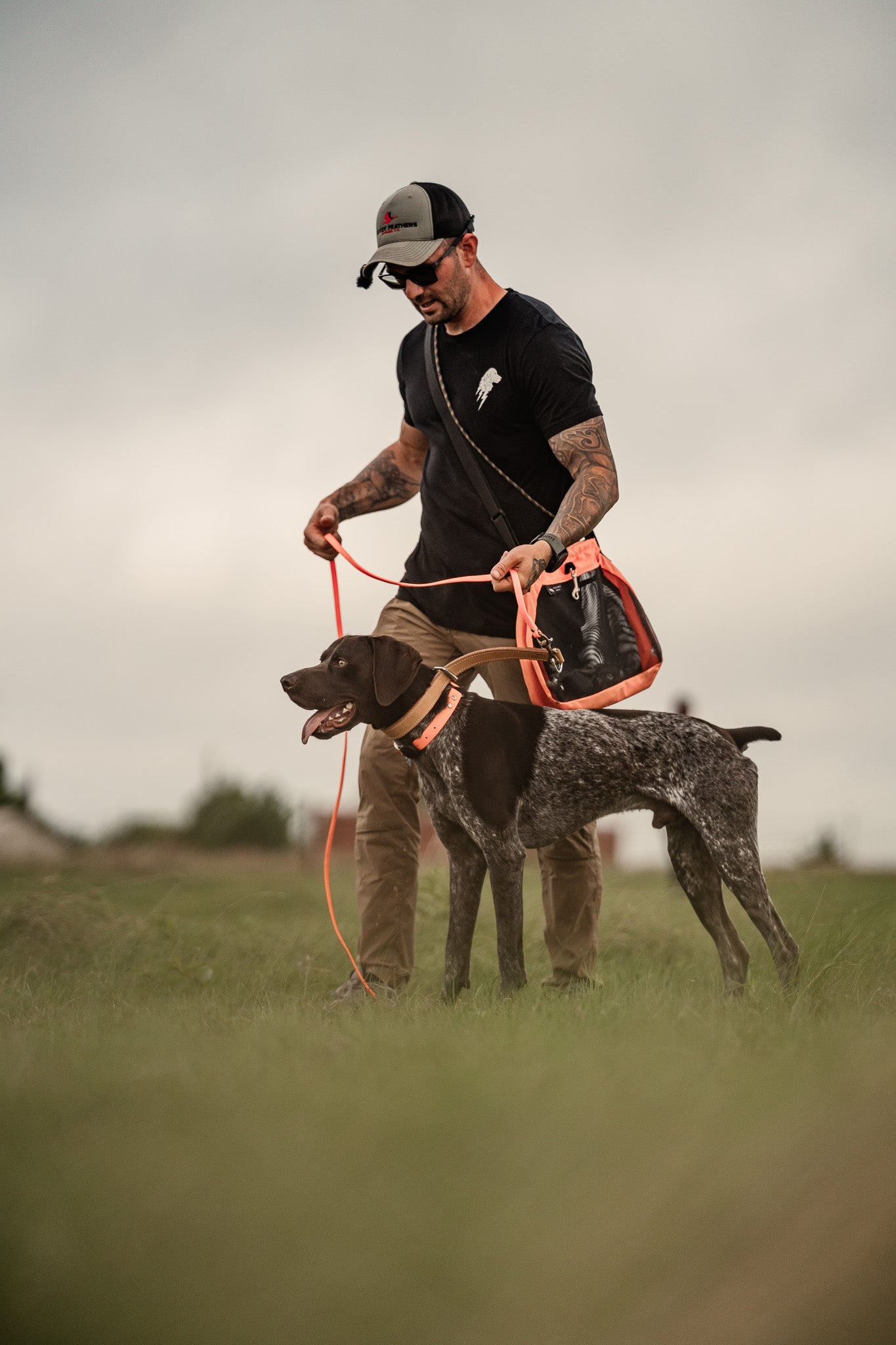 Obedience Board & Train - 4 Weeks