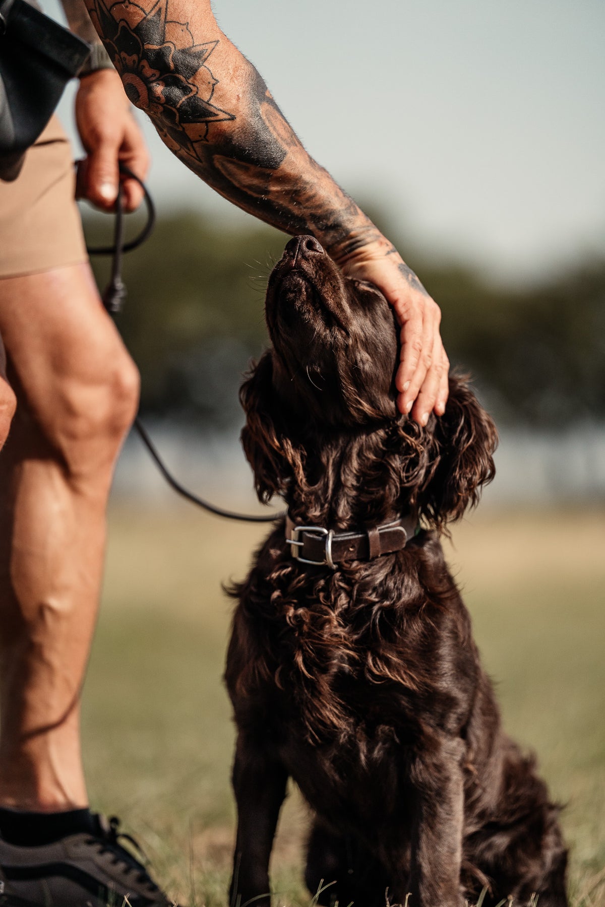 16 Week Hybrid Obedience and Retrieval