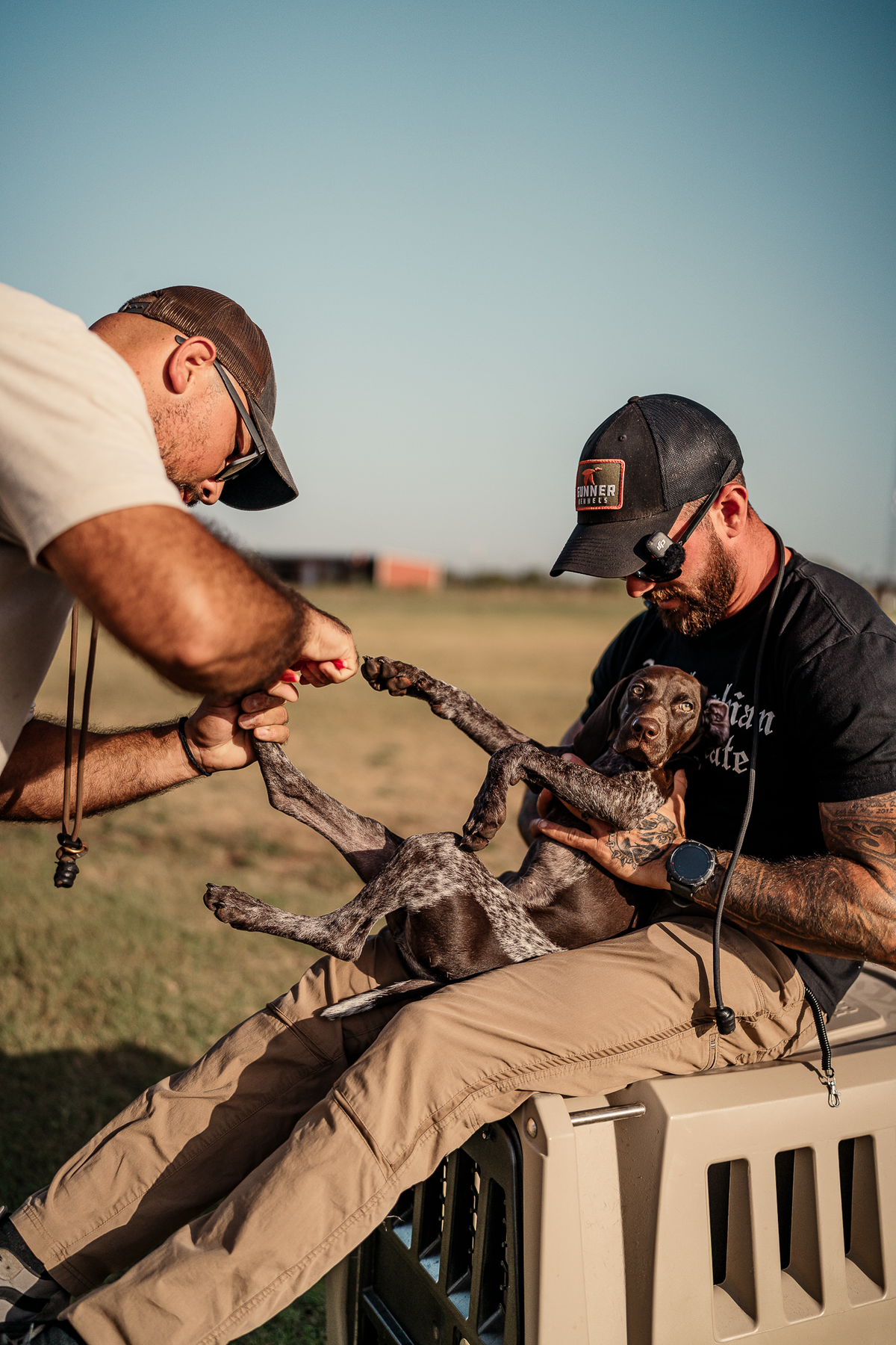 14 Day Puppy Board & Train