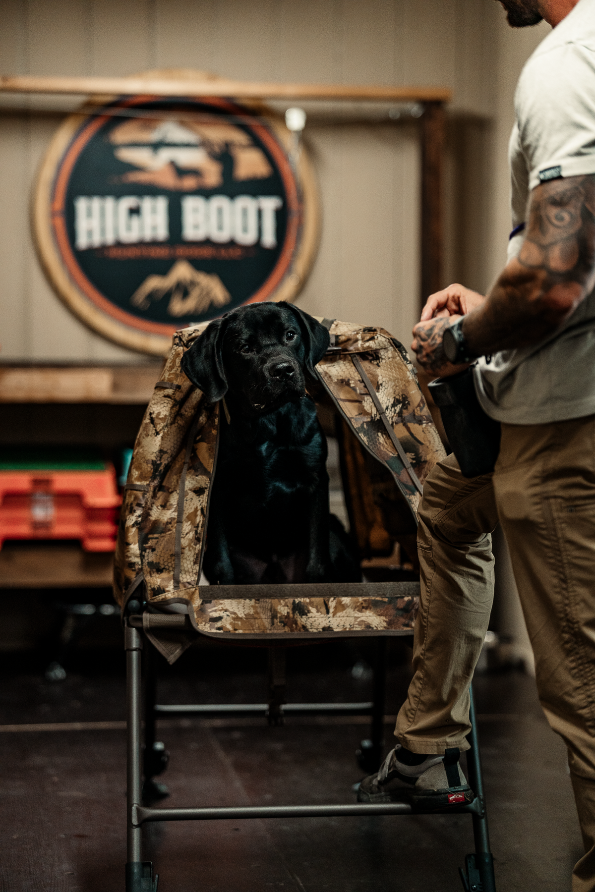 14 Day Puppy Board & Train