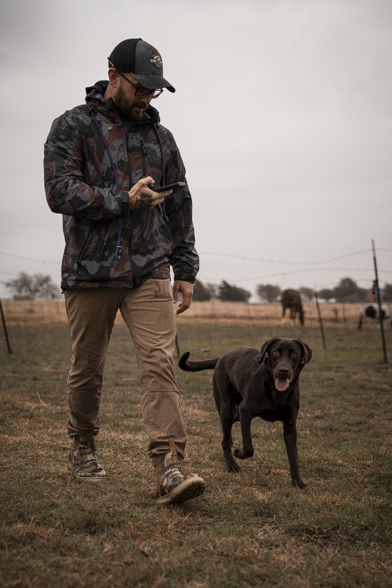 Obedience Board & Train - 3 Weeks
