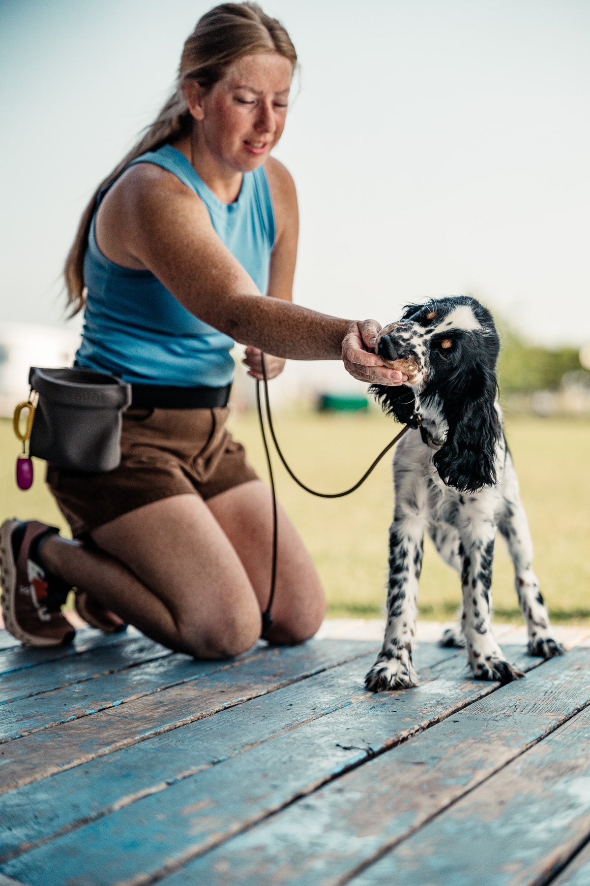 14 Day Puppy Board & Train