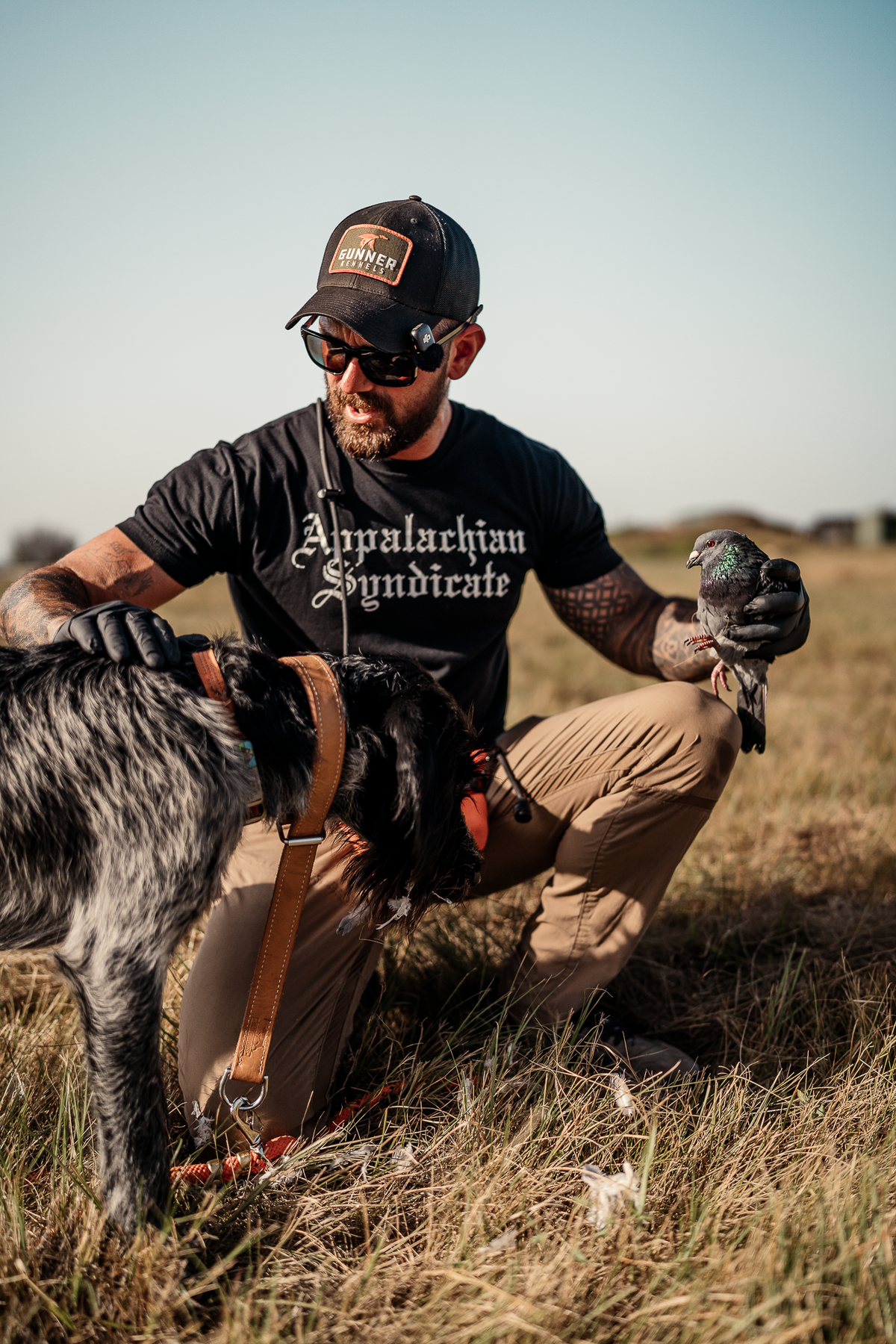 16 Week Hybrid Obedience and Retrieval