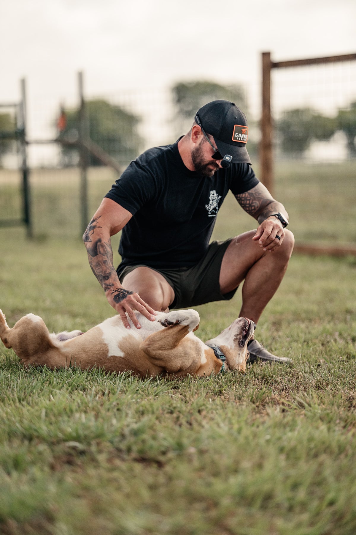 Obedience Board & Train - 4 Weeks