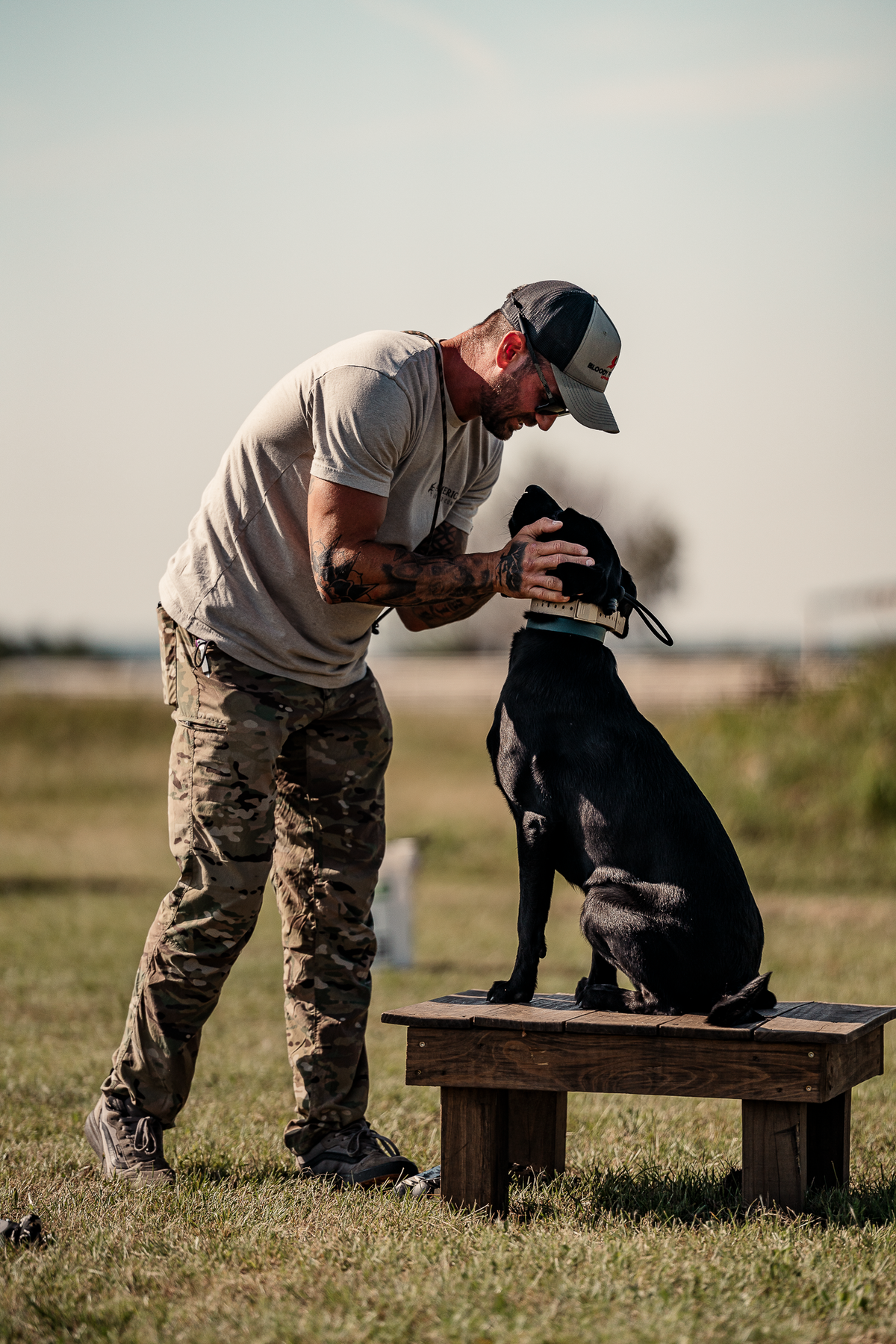 16 Week Hybrid Obedience and Retrieval