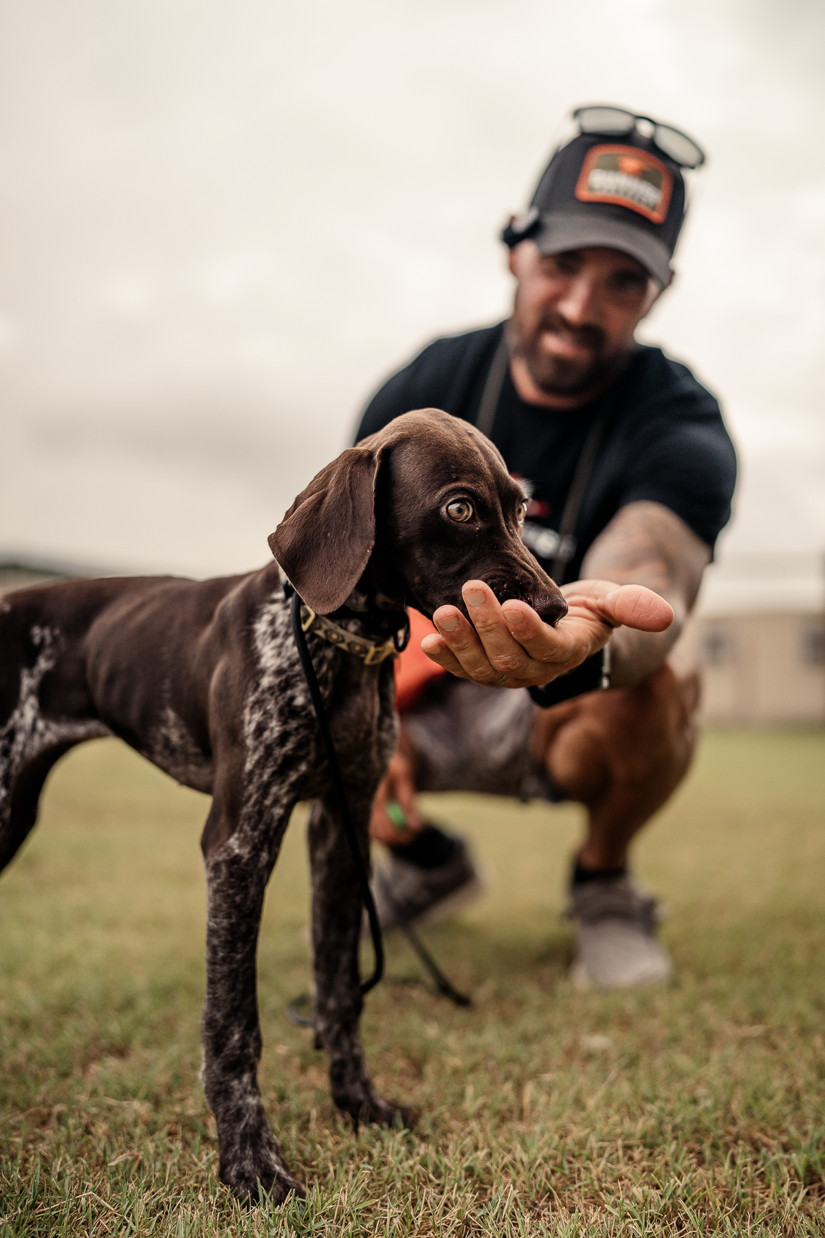 14 Day Puppy Board & Train