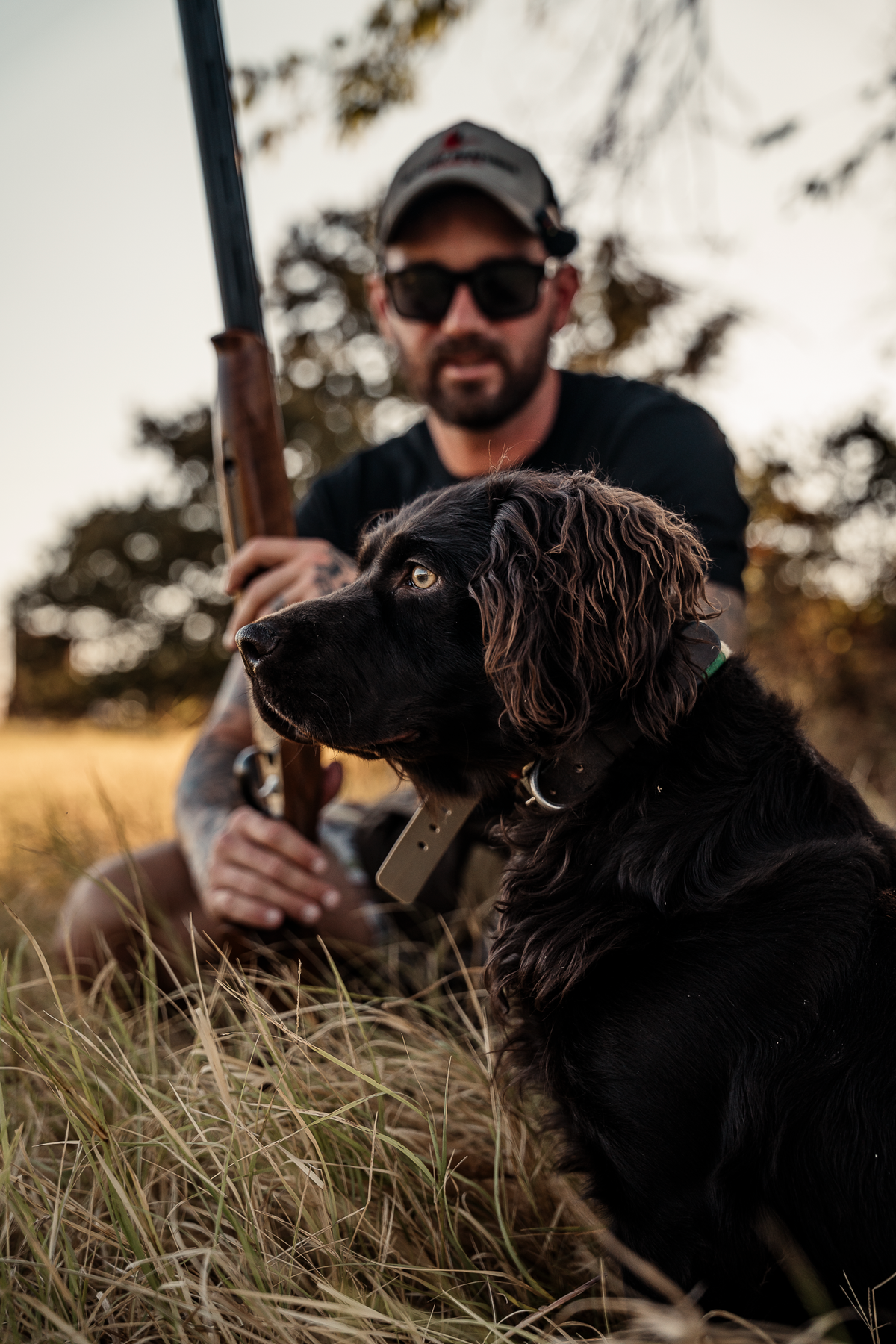 16 Week Hybrid Obedience and Retrieval