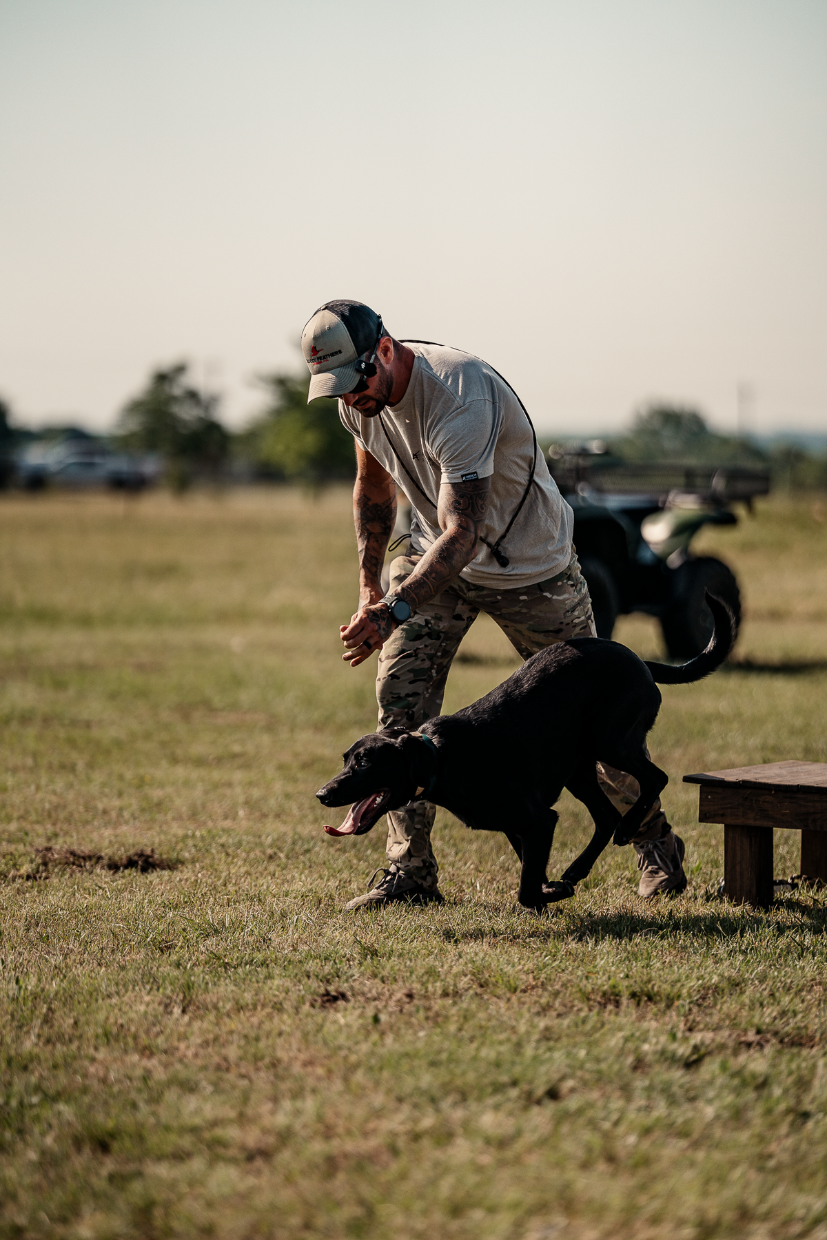 16 Week Hybrid Obedience and Retrieval