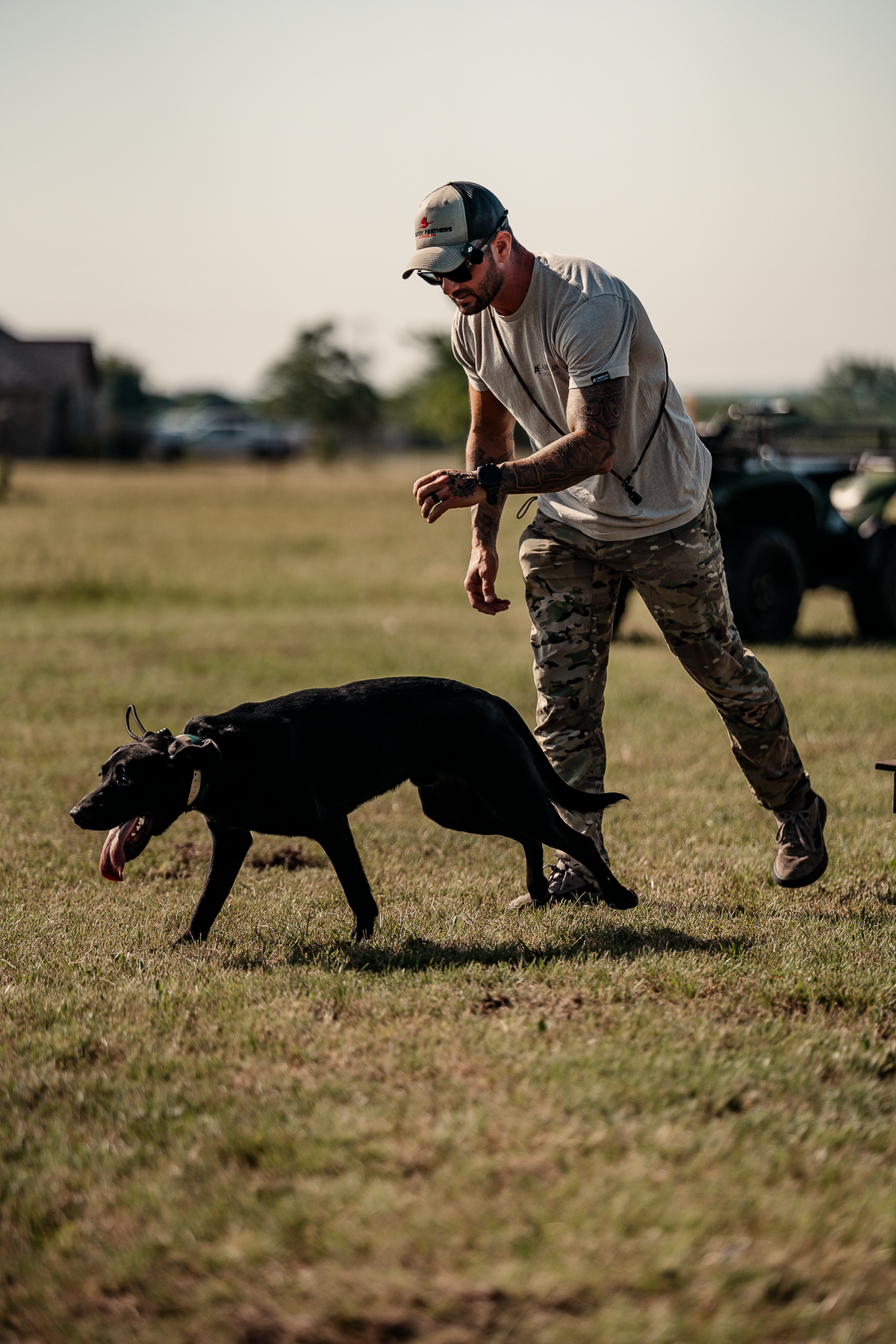 16 Week Hybrid Obedience and Retrieval