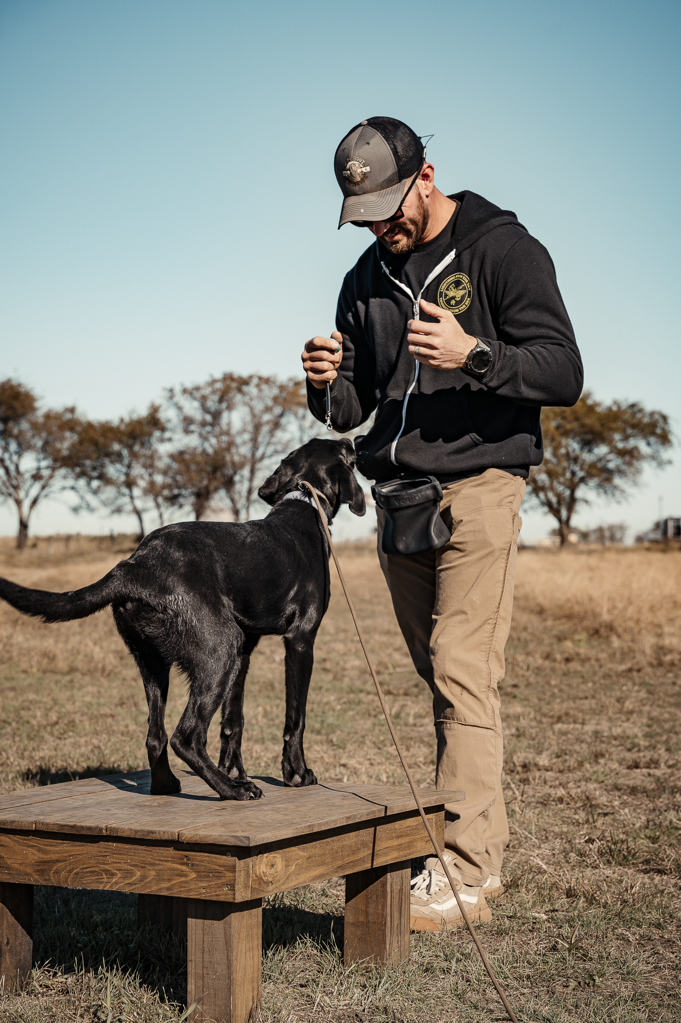 Obedience Board & Train - 3 Weeks