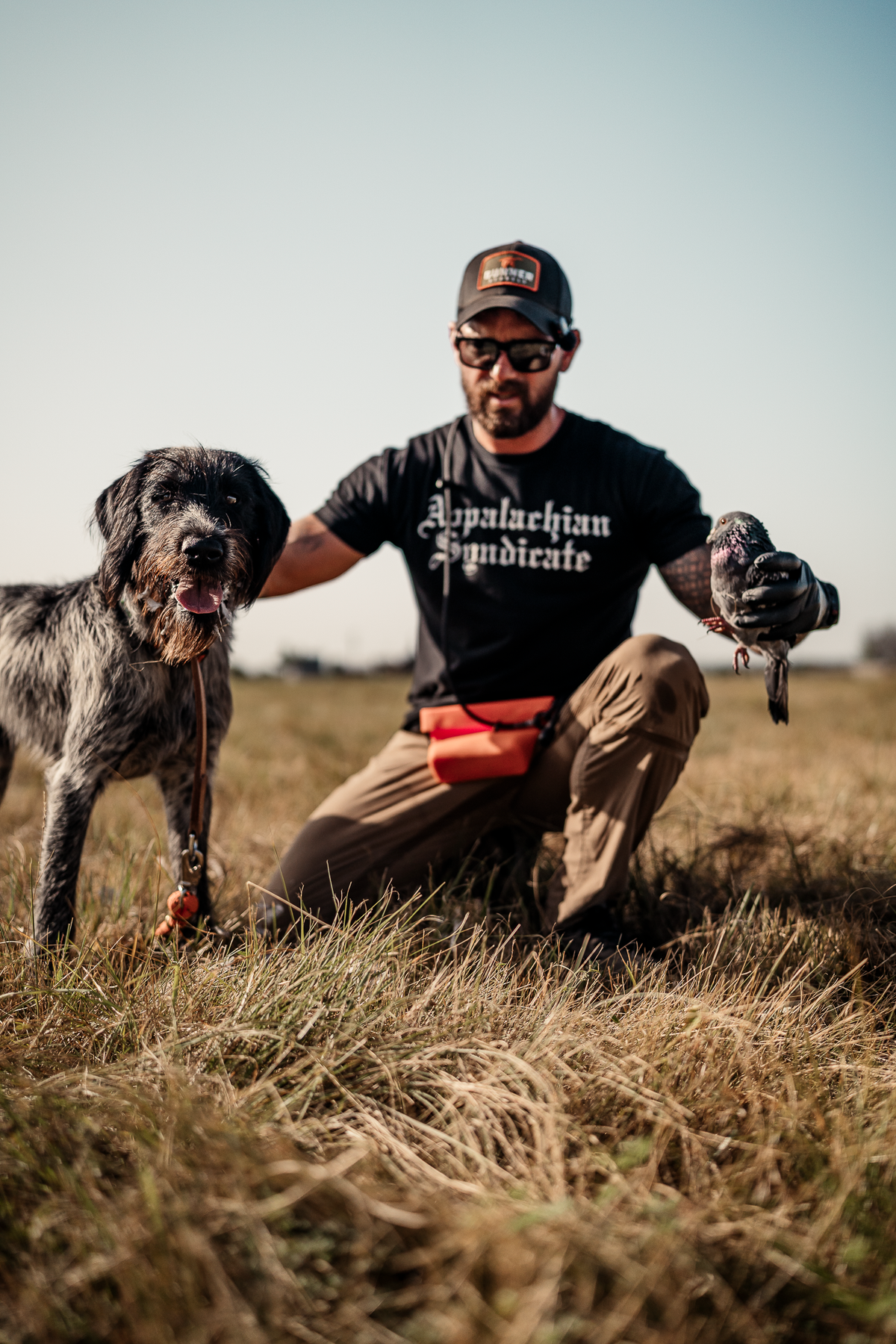 16 Week Hybrid Obedience and Retrieval