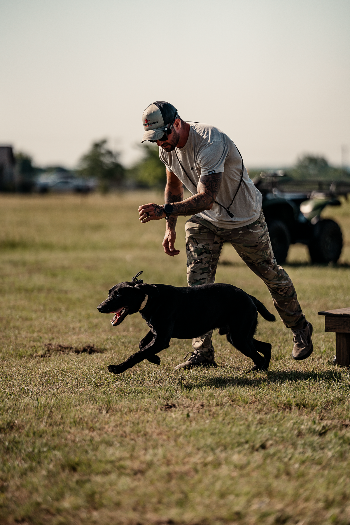 16 Week Hybrid Obedience and Retrieval