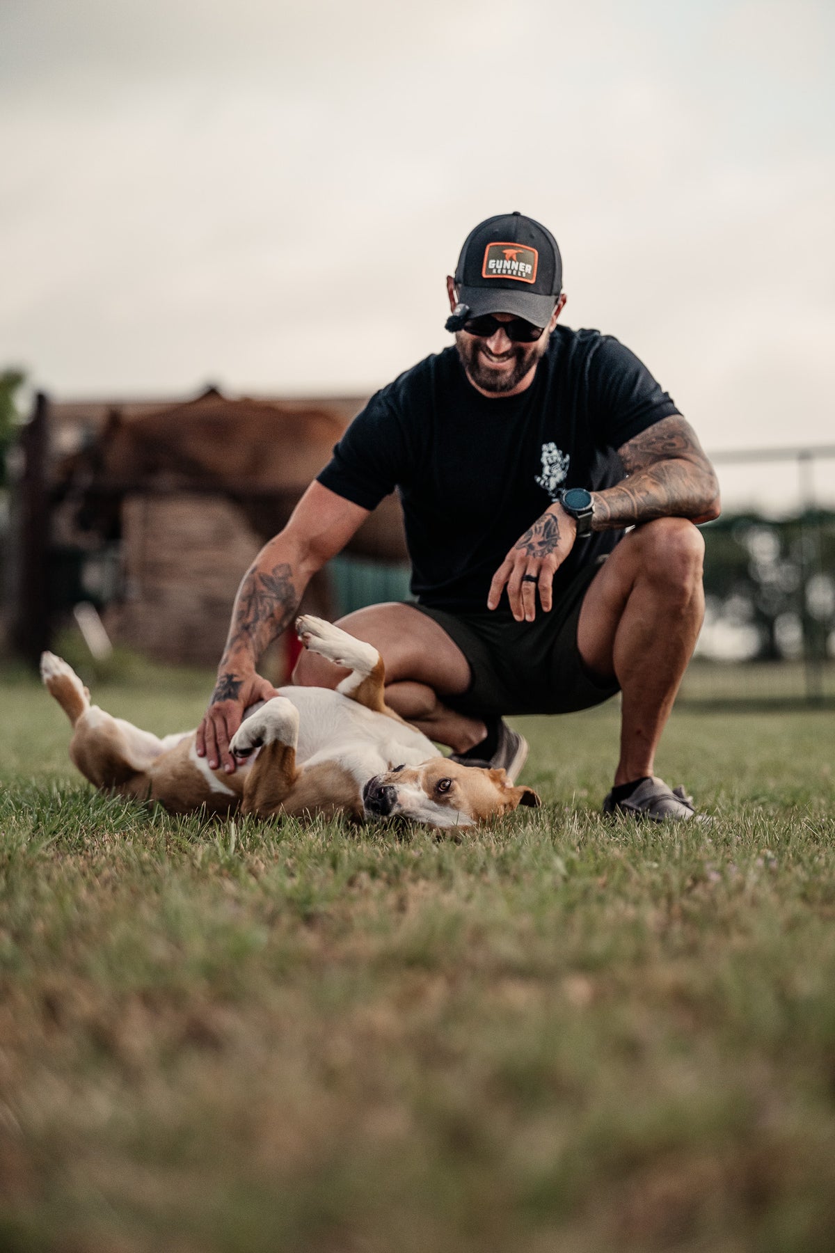 Obedience Board & Train - 4 Weeks