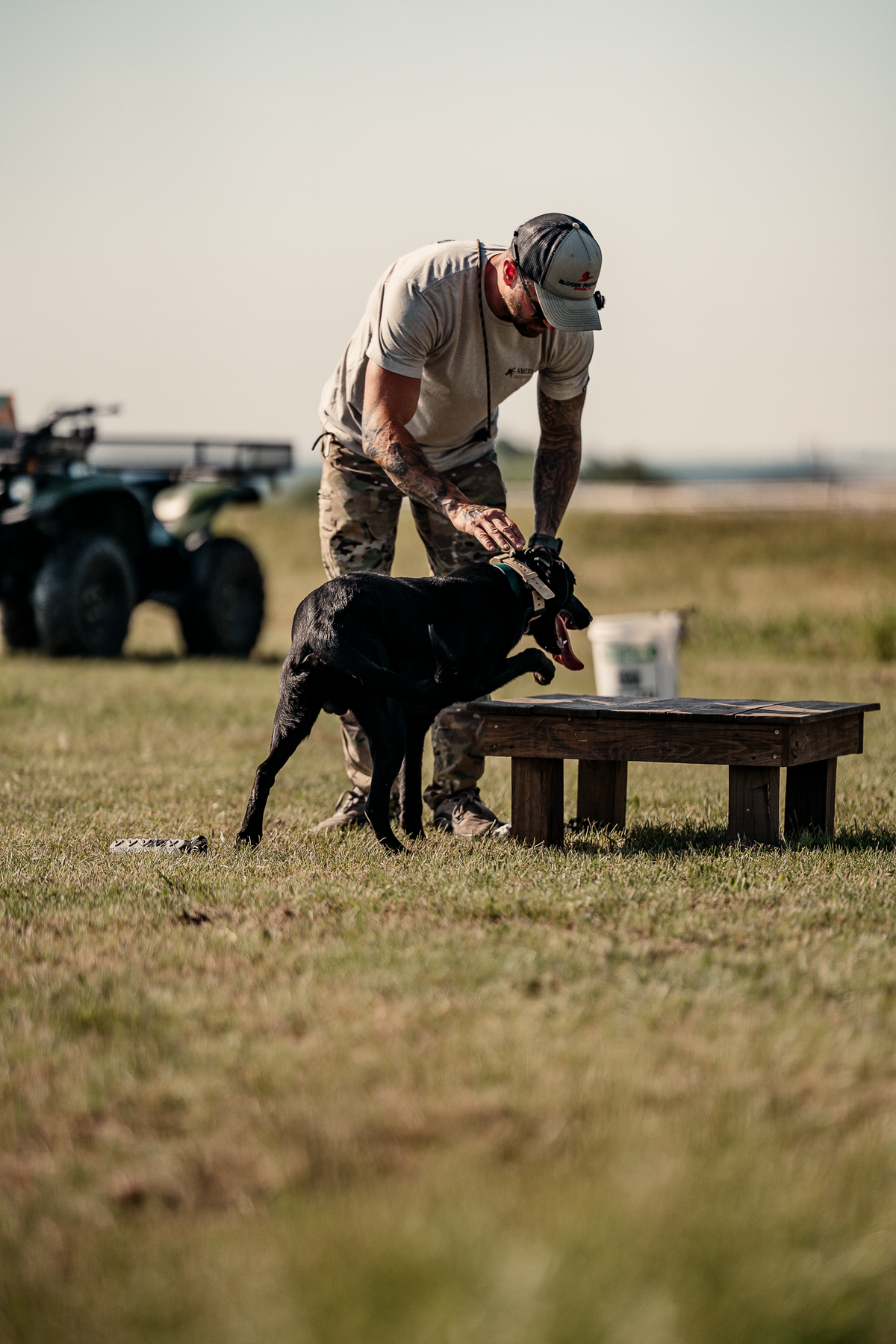 16 Week Hybrid Obedience and Retrieval