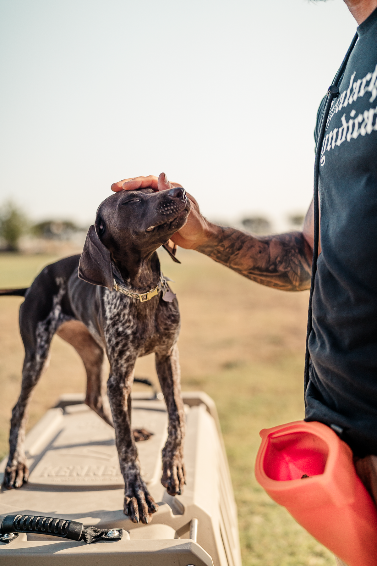 14 Day Puppy Board & Train