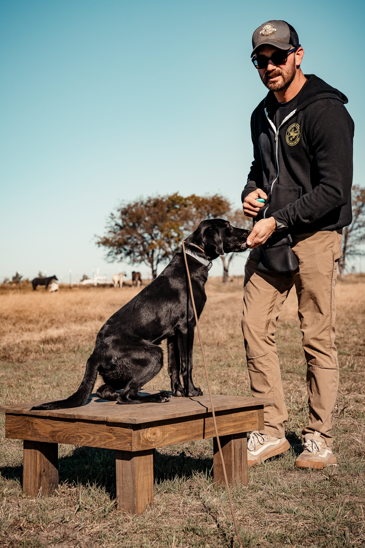 14 Day Puppy Board & Train